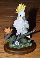 Country Artists Cockatoo